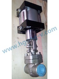 ANSI forged stainless steel pneumatic gate valve